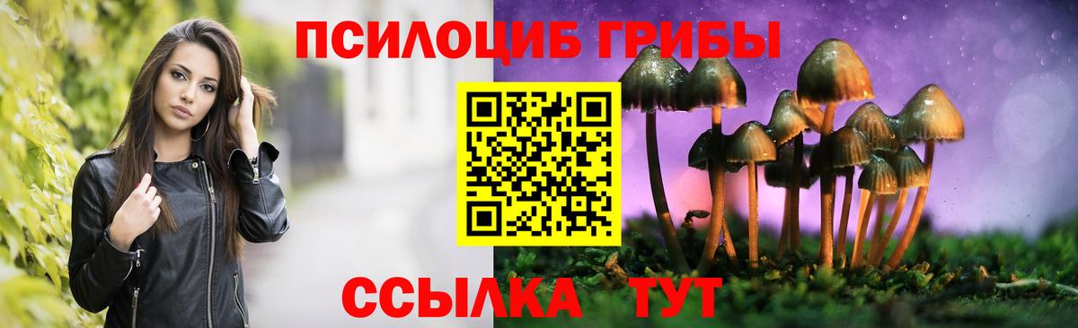Галлюциногенные грибы GOLDEN TEACHER  Вход с VPN  Ульяновск 