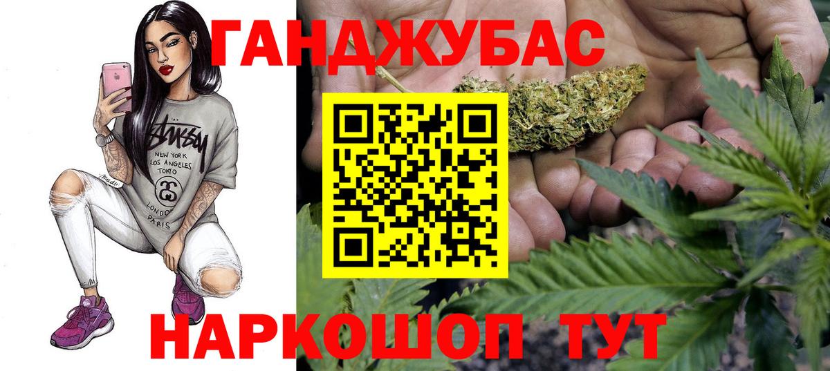 Бошки Шишки план Ульяновск